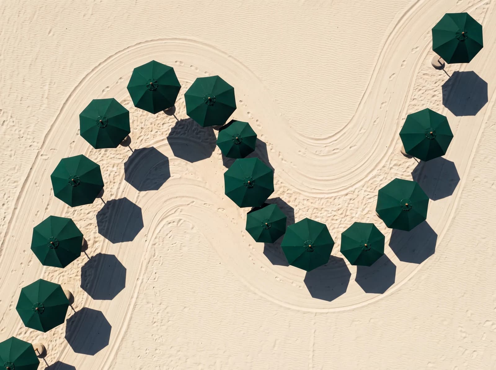 Vista aérea de ombrelones verde-escuros abertos sobre a areia, alinhados ao longo de uma curva, com as sombras projetadas ao lado de cada um